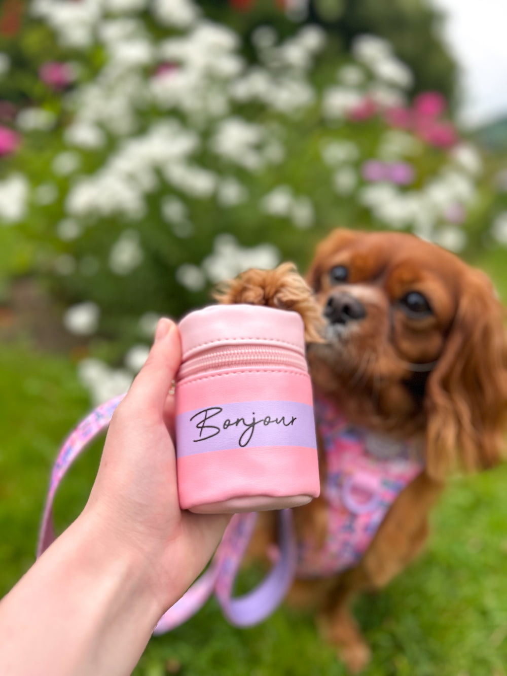 Bonjour Treat Pouch - Emily In Paris