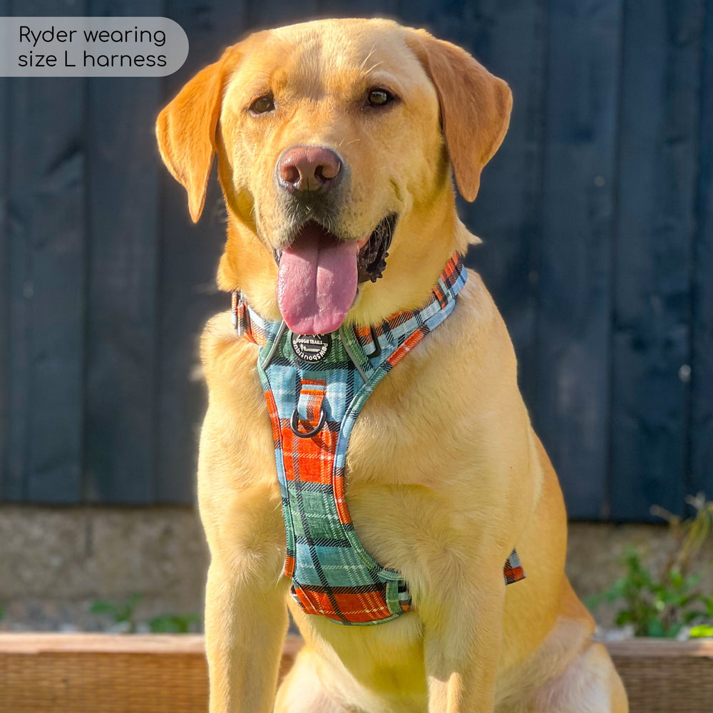 Tough Trails™ Harness - Harvest Plaid