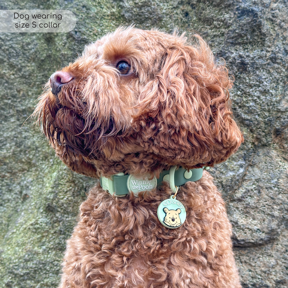 Disney© Waterproof Collar - 100 Aker Wood