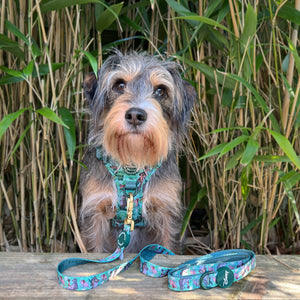 Disney© Disney©Lead - Jungle Book