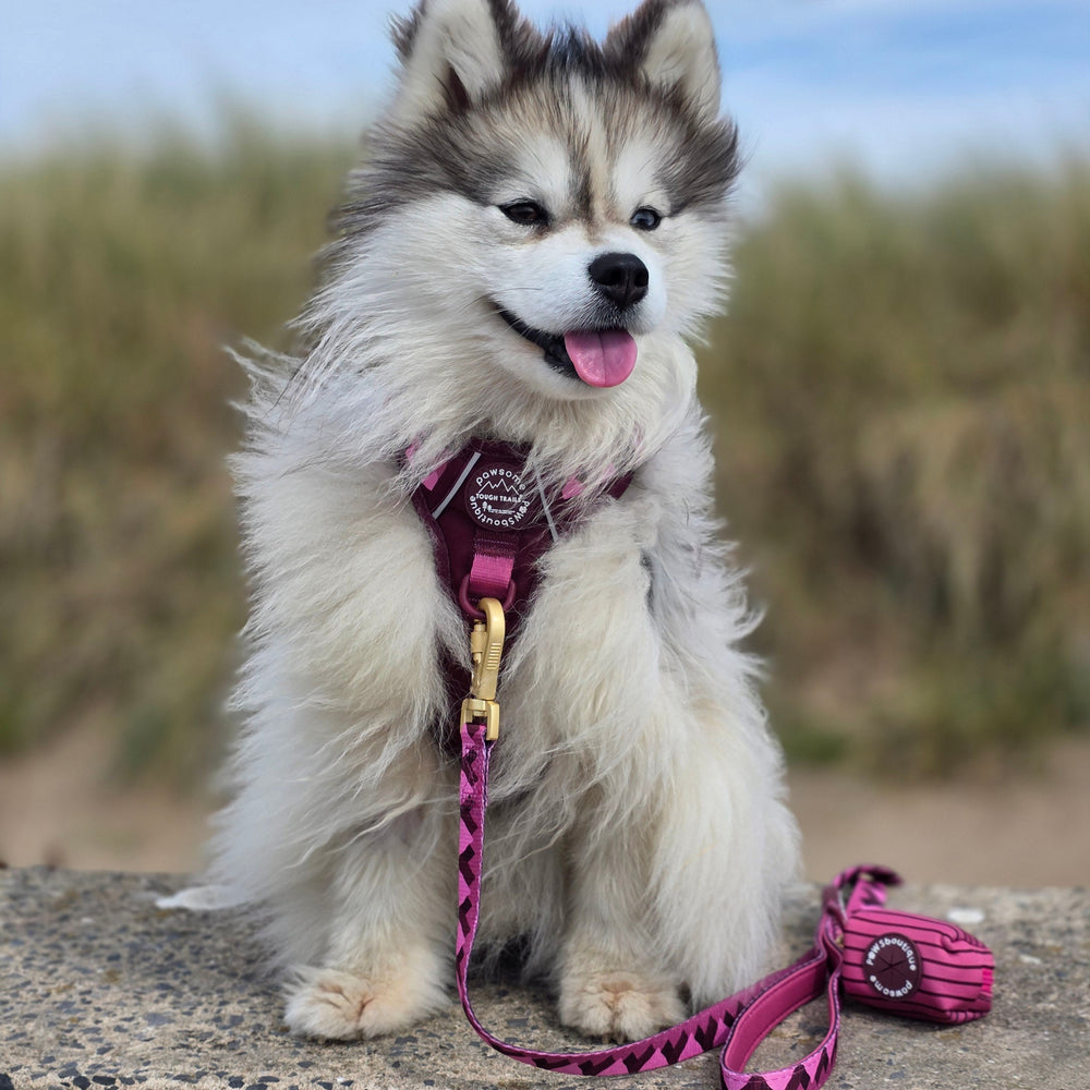 Poo Bag Holder - Walkies Ready® Mulberry