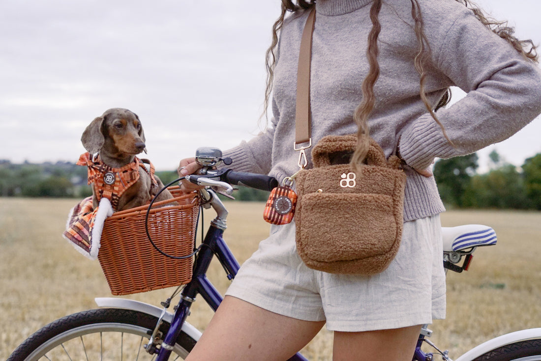 Teddy Crossbody Bag