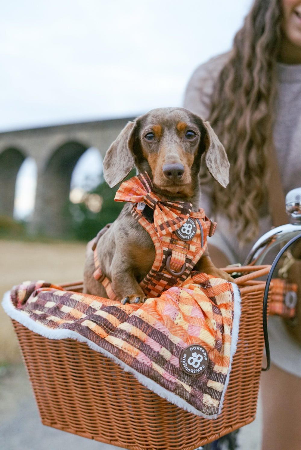 Dog Blanket - Golden Acre