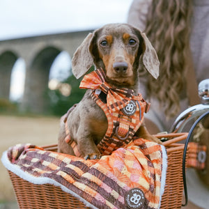 Dog Blanket - Golden Acre