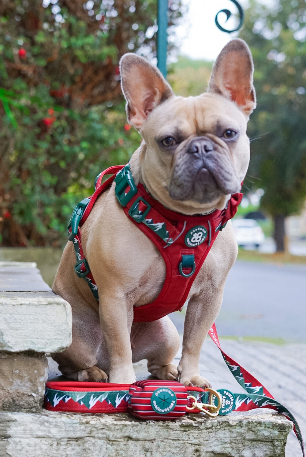 Poo Bag Holder - Walkies Ready® Snowy Mountains