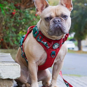 Poo Bag Holder - Walkies Ready® Snowy Mountains