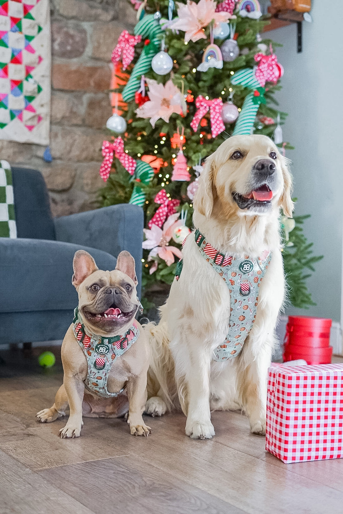 Tough Trails™ Harness -  Milk & Cookies