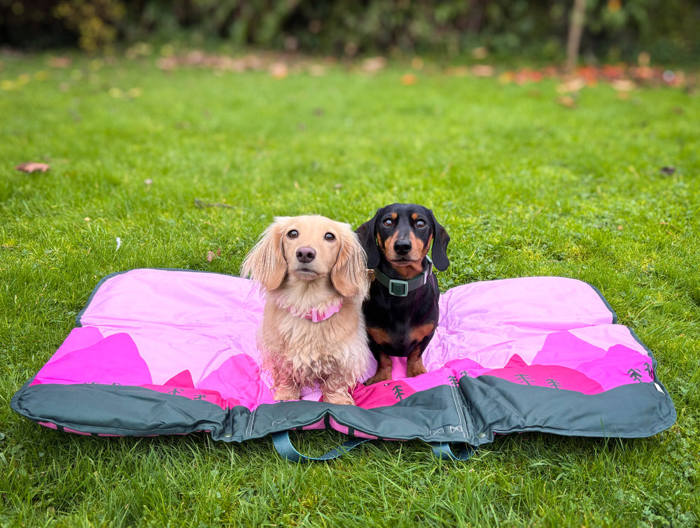 Travel Mat - Walkies Ready®