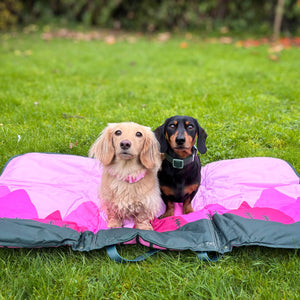 Travel Mat - Walkies Ready®