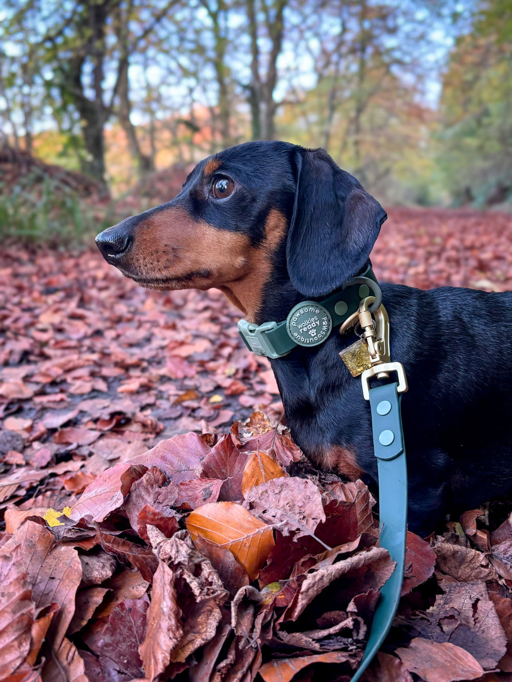 4ft Waterproof Lead - Walkies Ready® Forest Green