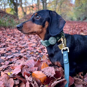 4ft Waterproof Lead - Walkies Ready® Forest Green