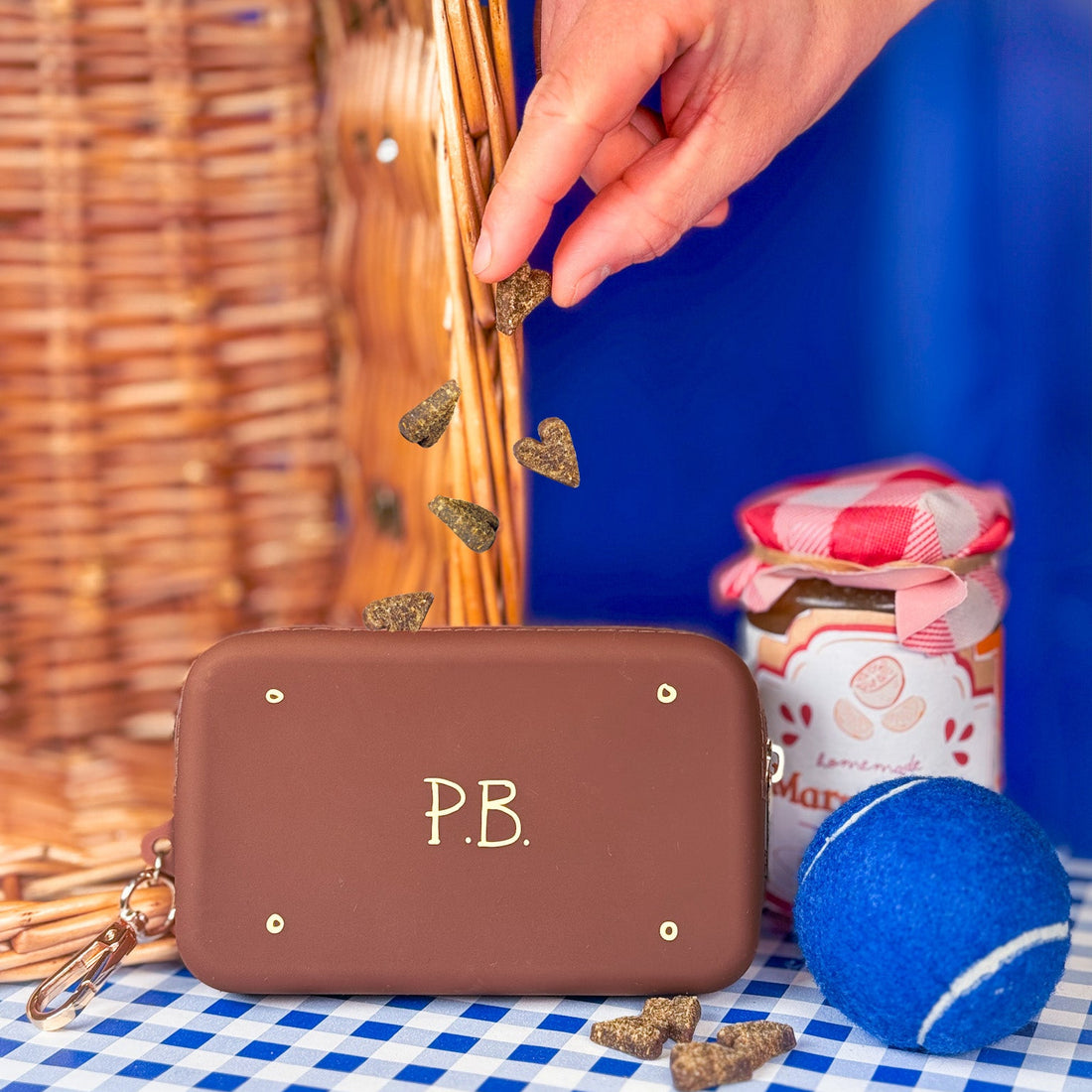 Silicone Treat Pouch - Paddington™ Suitcase