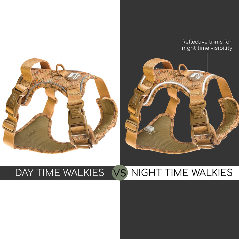 Disney© Tough Trails™ Harness - Slinky
