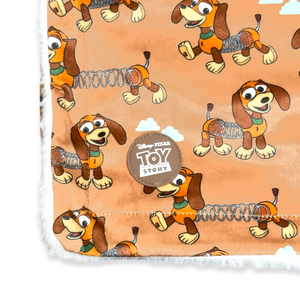 Disney© Dog Blanket - Slinky