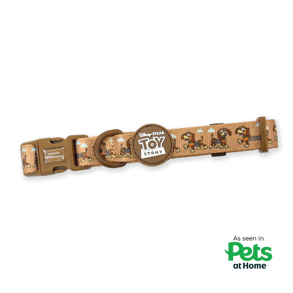 Disney© Collar - Slinky