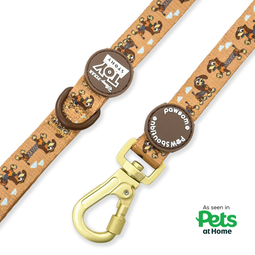 Disney© Lead - Slinky