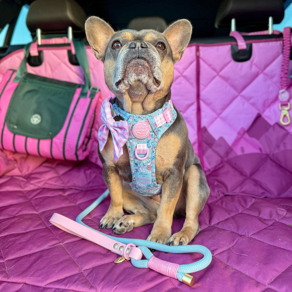 Disney© 4ft Rope Lead - Mad Hatters Tea Party