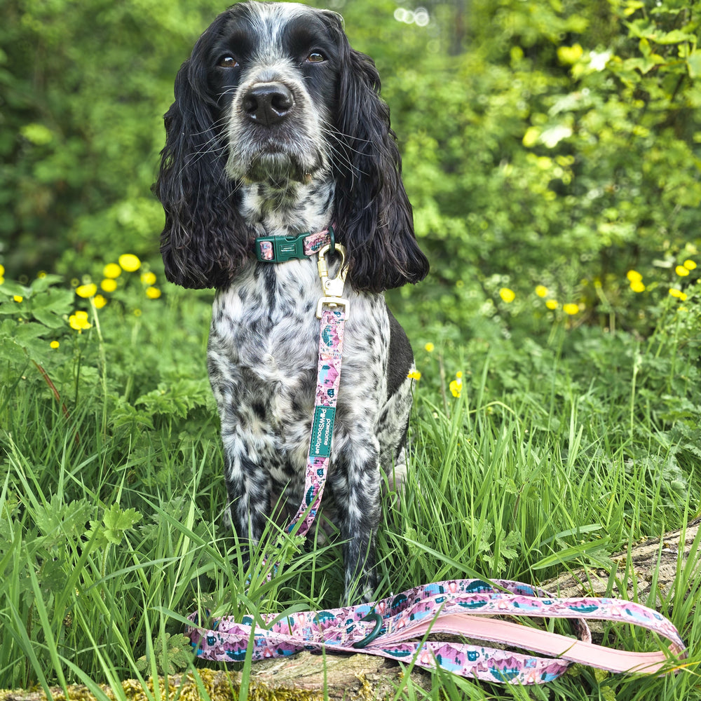 Lead - Adventure Awaits