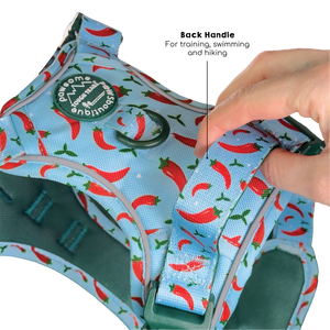 Tough Trails™ Harness - Stay Spicy