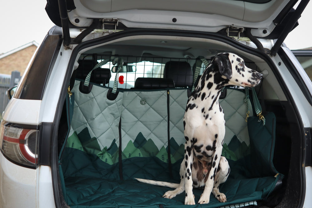 Car Seat Cover - Walkies Ready® Forest Green