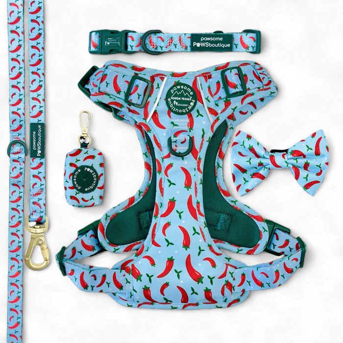 Stay Spicy Ultimate Bundle