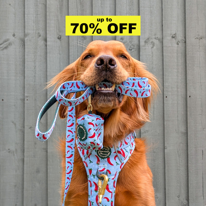 SUMMER SALE-image