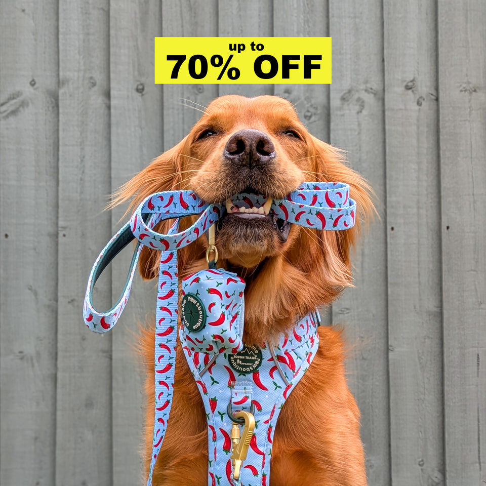 SUMMER SALE-image