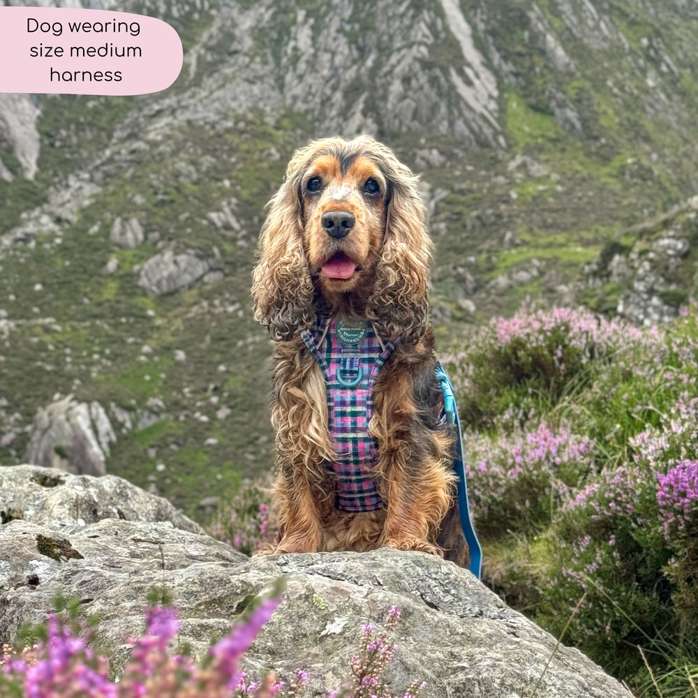 Tough Trails™ Harness -  Tweed Twilight