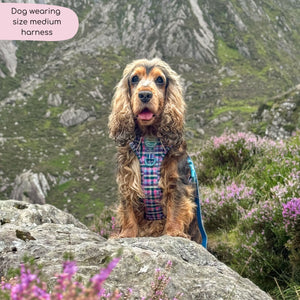 Tough Trails™ Harness -  Tweed Twilight