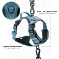 Tough Trails™ Harness - Country Teal