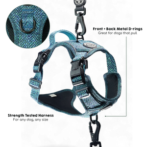 Tough Trails™ Harness - Country Teal