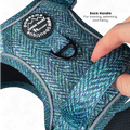 Tough Trails™ Harness - Country Teal