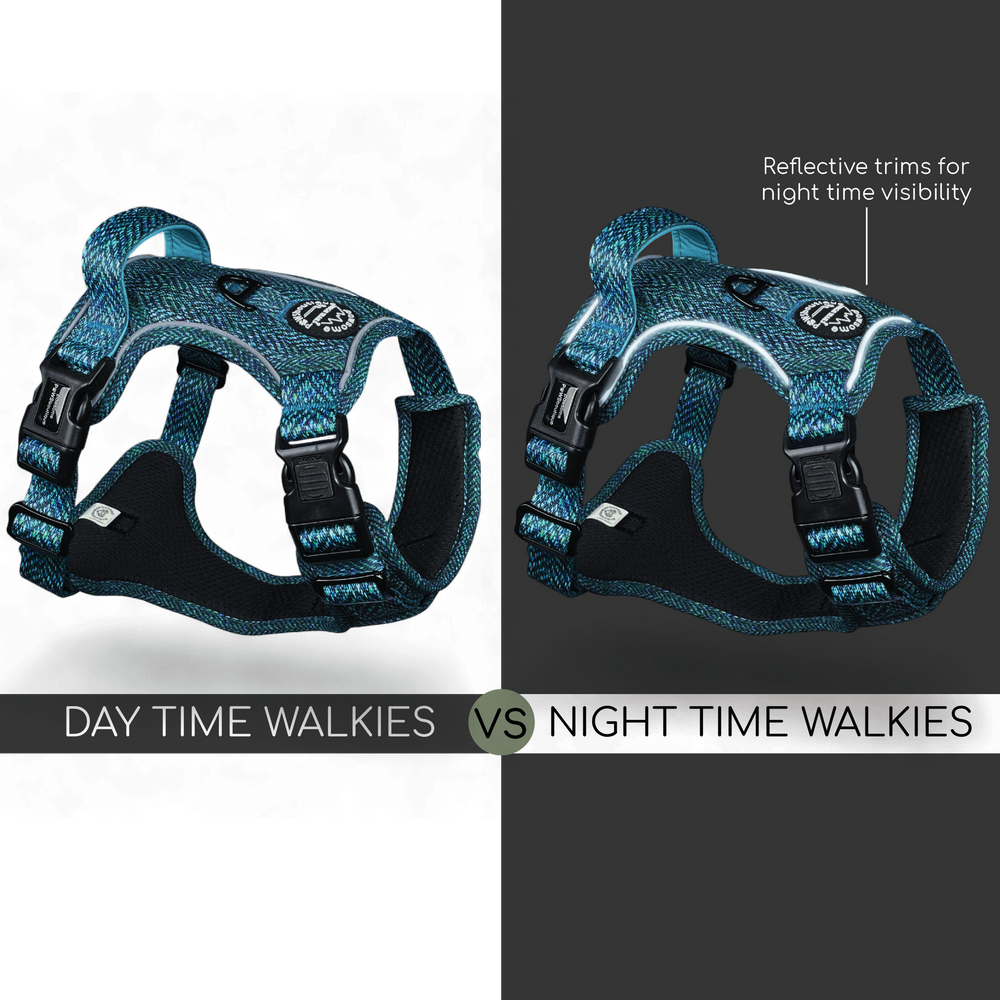 Tough Trails™ Harness - Country Teal
