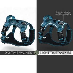 Tough Trails™ Harness - Country Teal