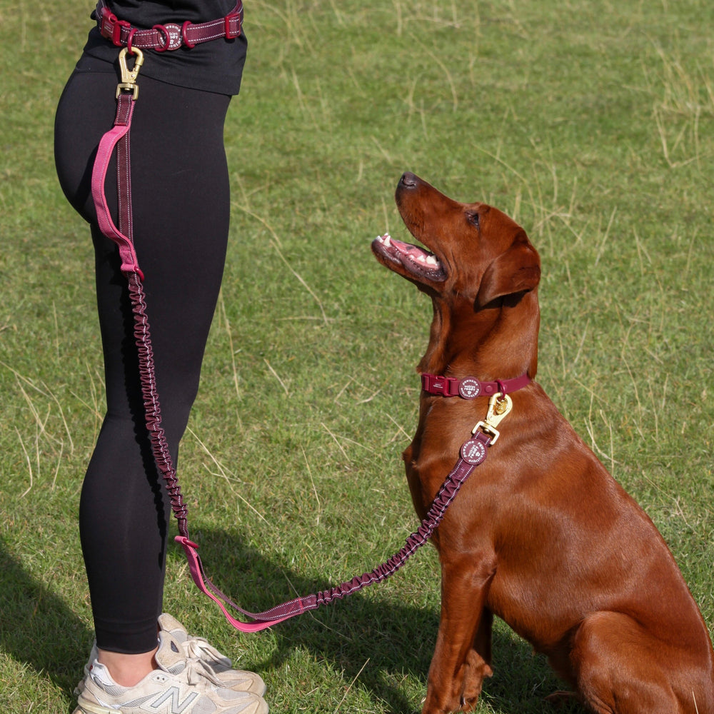 Handsfree Lead - Walkies Ready® Mulberry