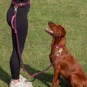 Handsfree Lead - Walkies Ready® Mulberry