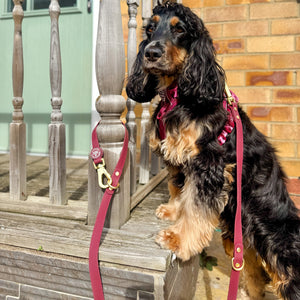 Double Ended Lead - Walkies Ready® Mulberry