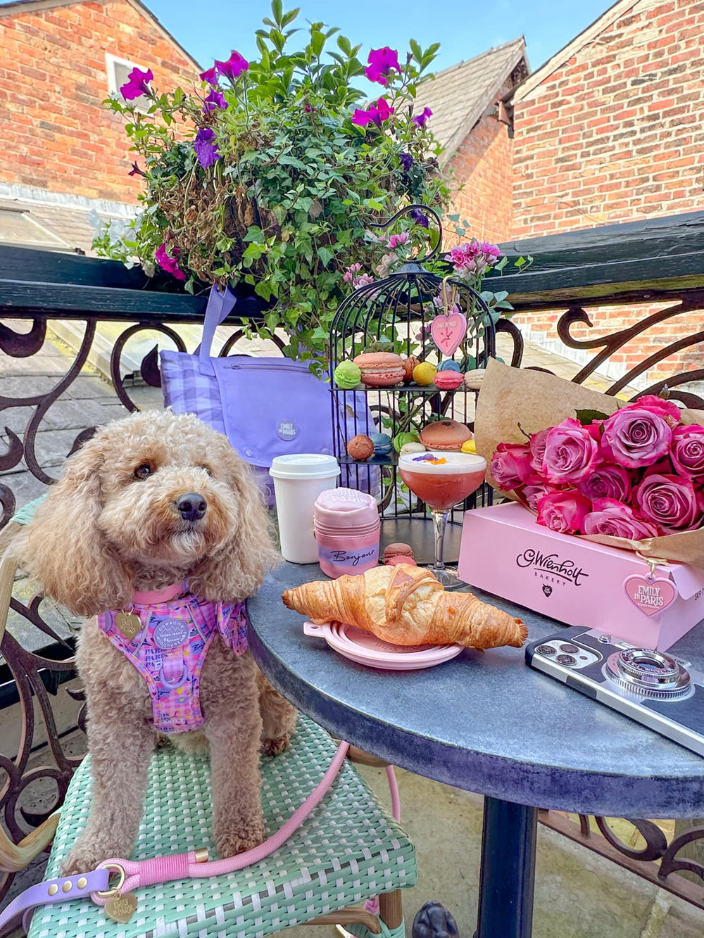 Tough Trails™ Harness - Emily In Paris