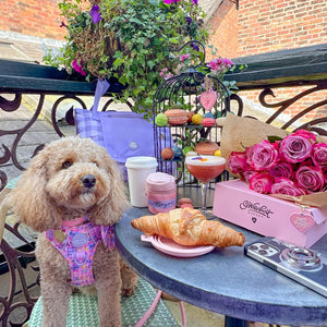 Tough Trails™ Harness - Emily In Paris