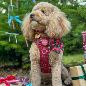 Sailor Bow - Bows Of Joy (Gingham)