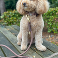 4ft Rope Lead - Brown
