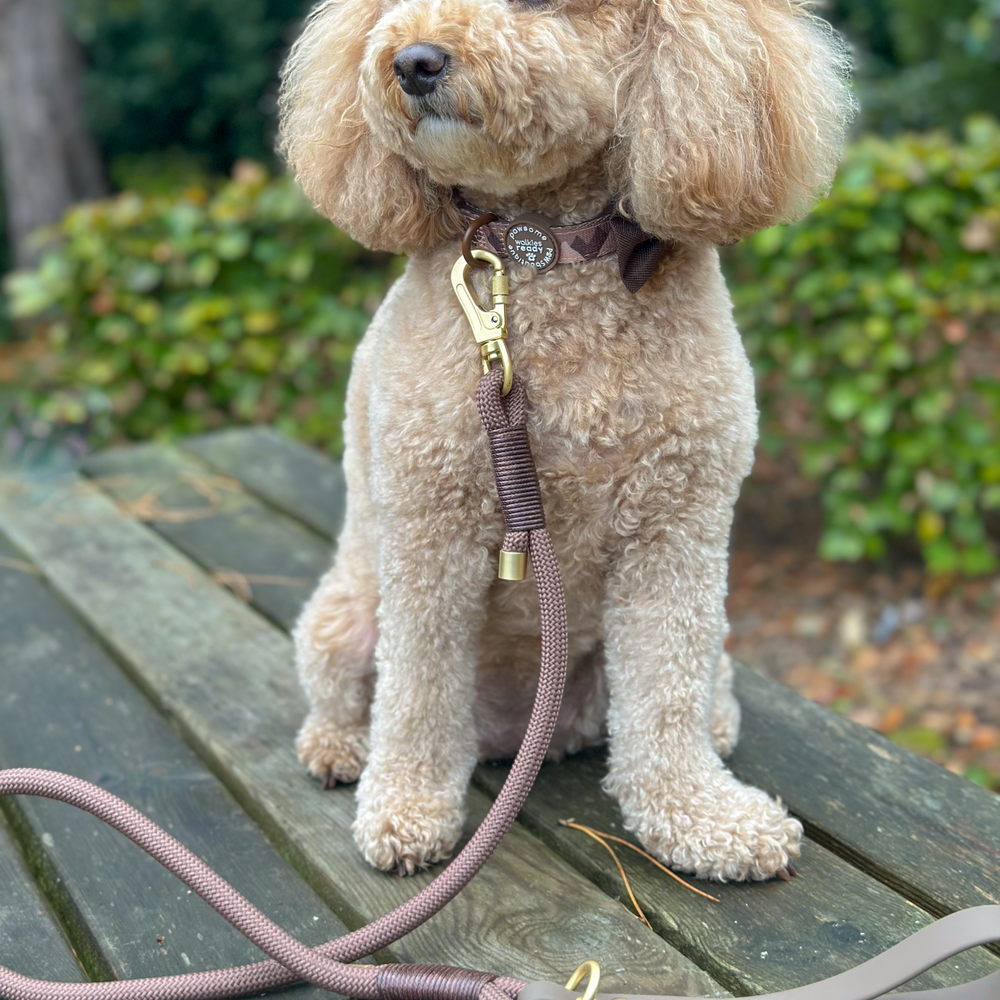4ft Rope Lead - Brown
