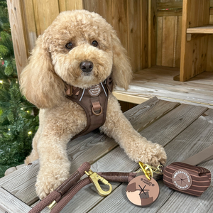 Poo Bag Holder - Walkies Ready® Chocolate Brown