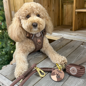 Pawsome Poop Pocket - Walkies Ready® - Chocolate Brown
