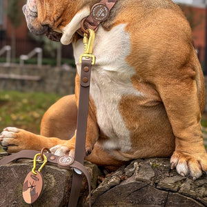 4ft Waterproof Lead - Walkies Ready® Chocolate Brown