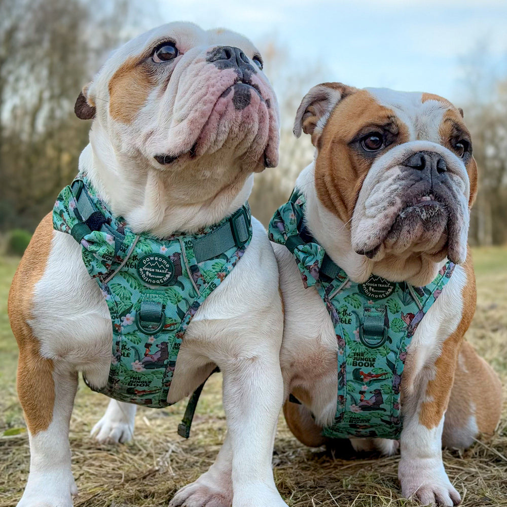 Disney© Bow Tie - Jungle Book