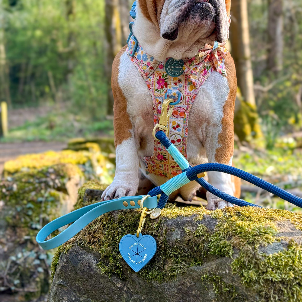 Pawsome Poop Pocket - Duck Egg