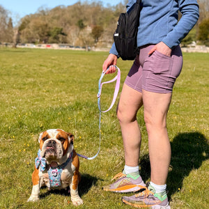 Lead - Whimsical Wildflowers