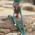 Disney© 4ft Rope Lead - Jungle Book