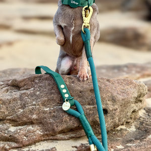 Disney© 4ft Rope Lead - Jungle Book